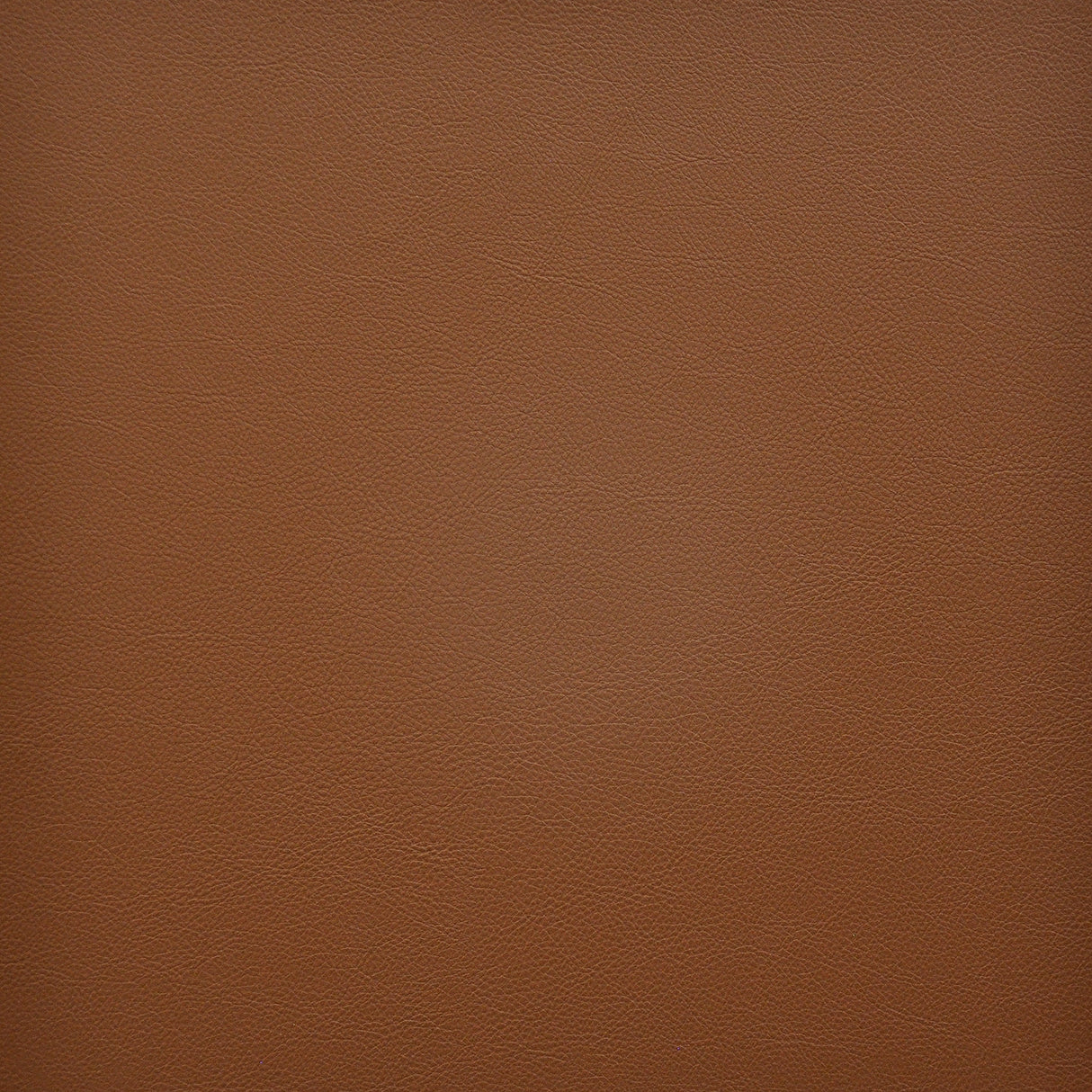 Eade’s # 260 COGNAC
