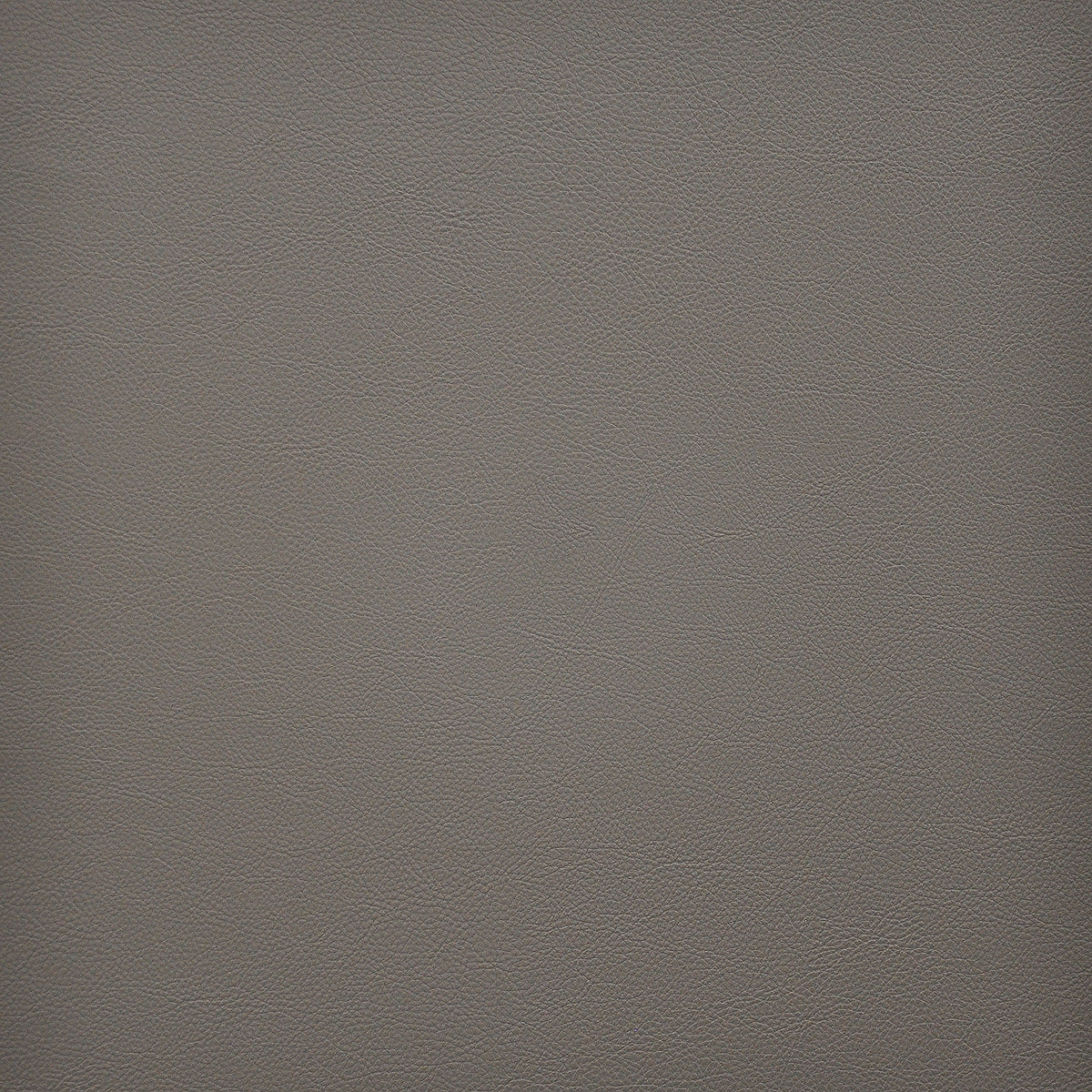Eade’s # 271 SANDSTONE