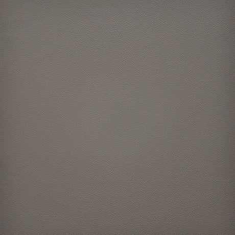 Eade’s # 271 SANDSTONE
