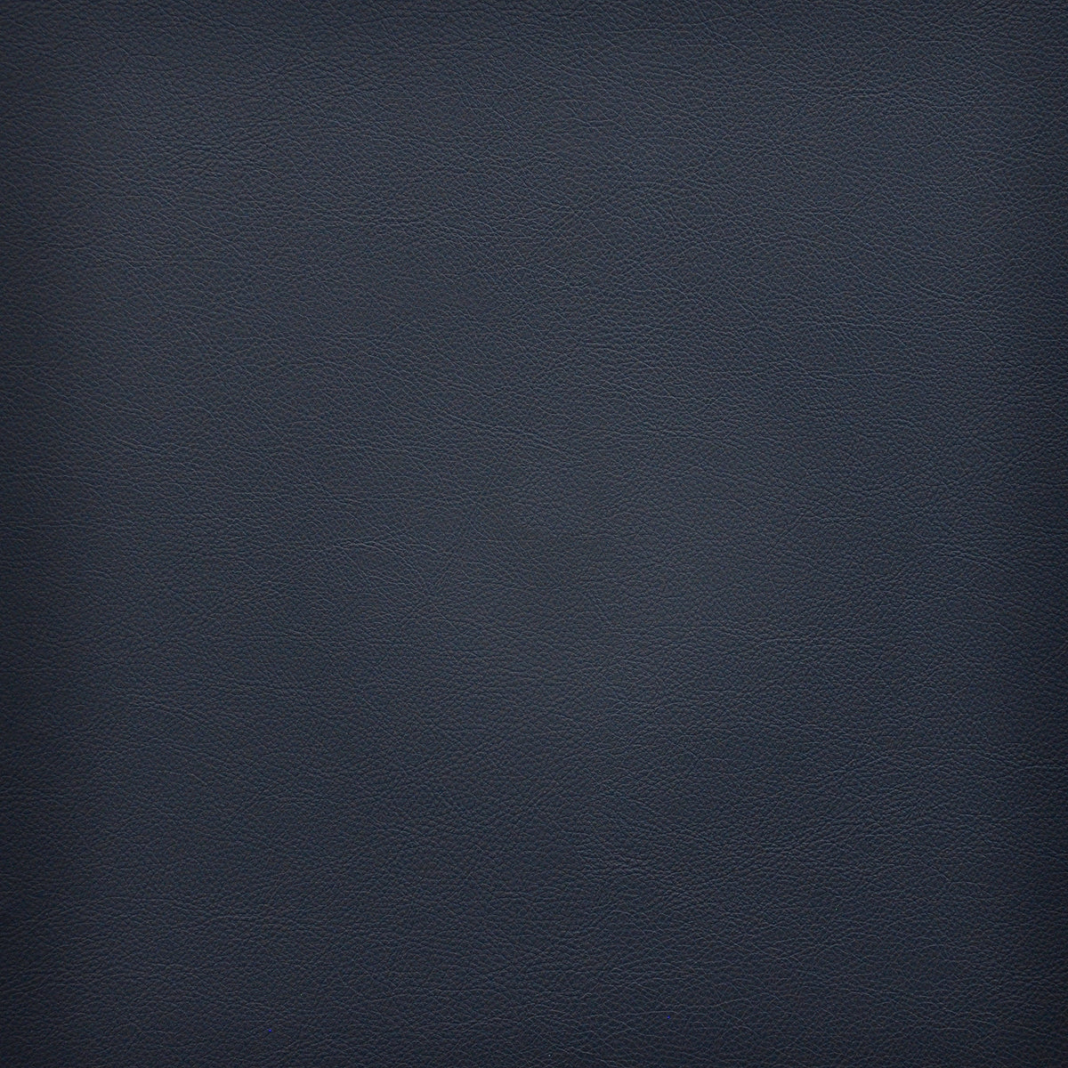 Eade’s # 274 NAVY