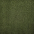Eade’s # 716 MOSS