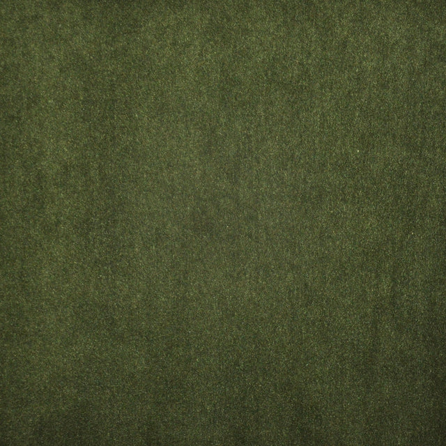 Eade’s # 716 MOSS