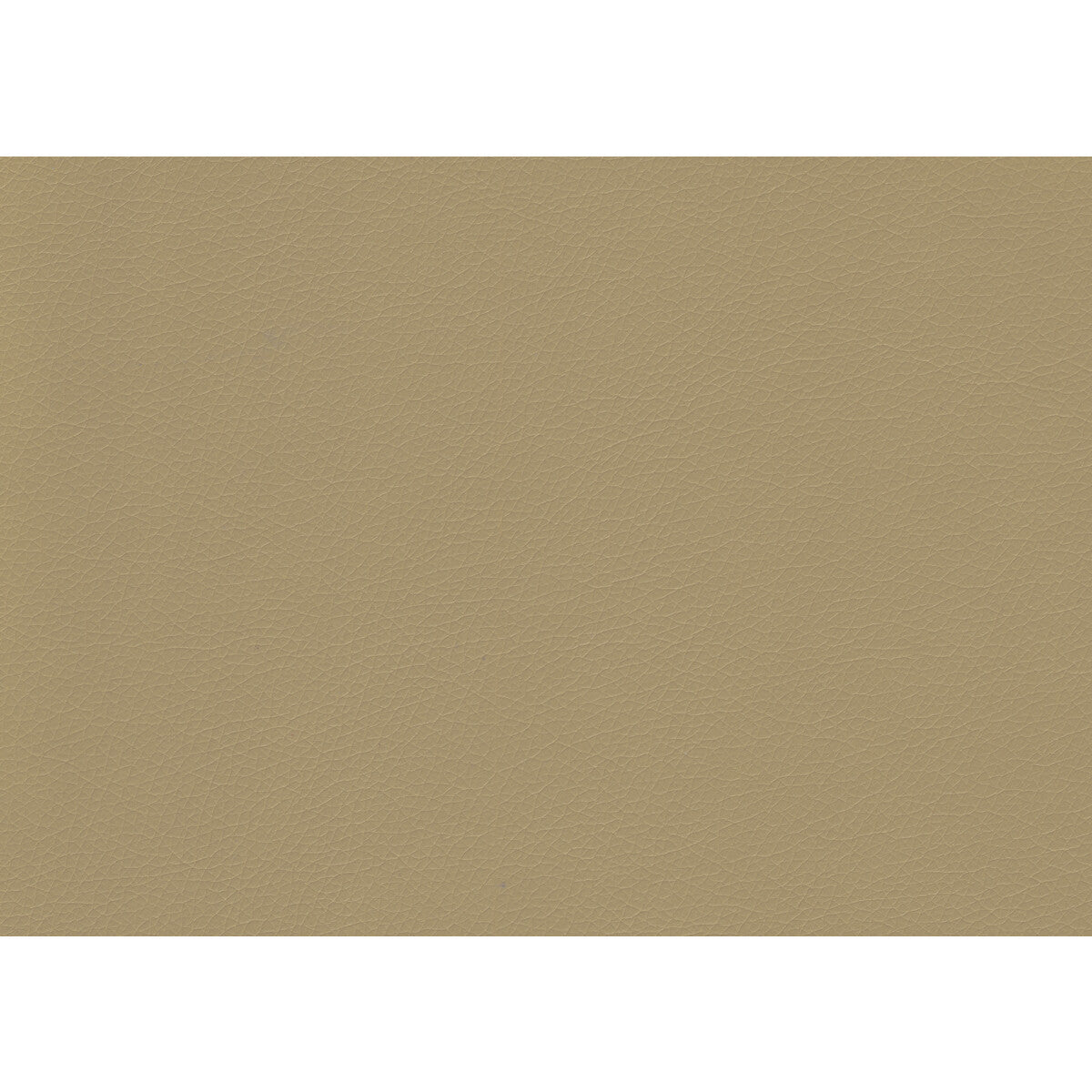 KRAVET CONTRACT VALERA.16.0 VALERA DUNE Fabric - Eade's Wallpaper