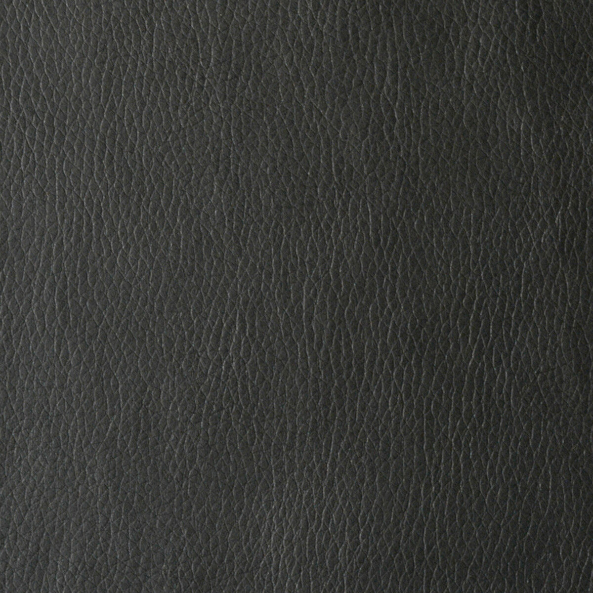 KRAVET CONTRACT VALERA.8.0 VALERA NOIR Fabric - Eade's Wallpaper