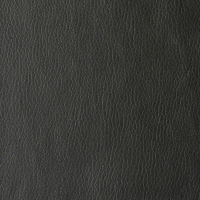 KRAVET CONTRACT VALERA.8.0 VALERA NOIR Fabric - Eade's Wallpaper
