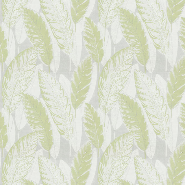 Eade's VALO-1-sample PISTACHIO