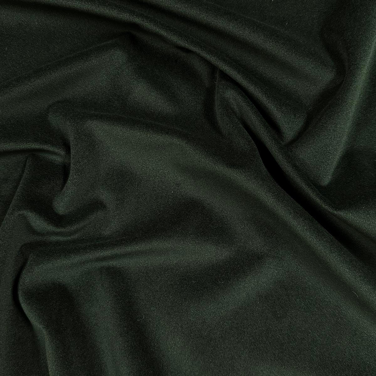 Eade’s VASTO FOREST FOREST