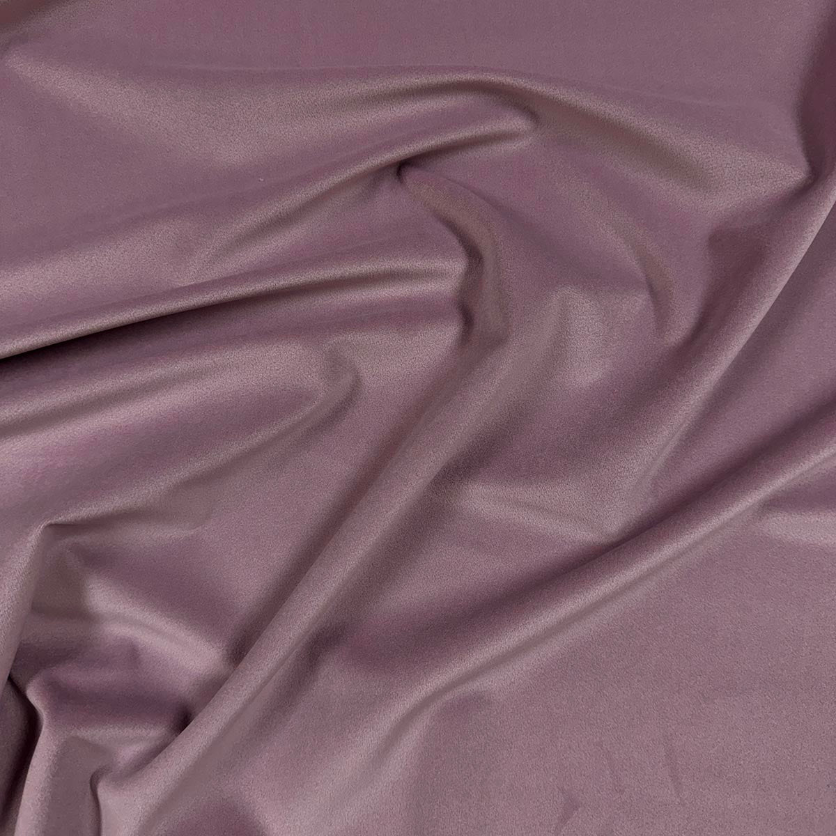 Eade’s VASTO LAVENDER LAVENDER