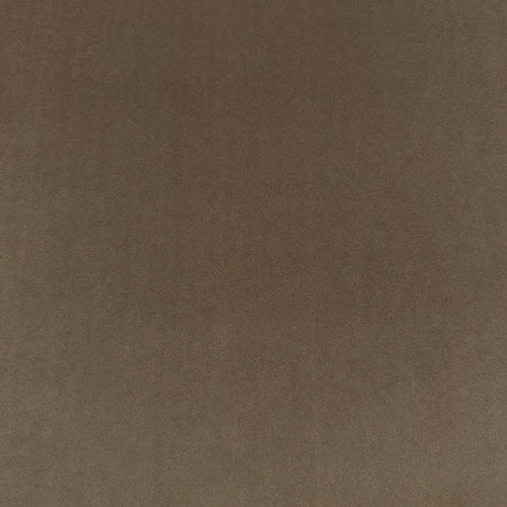 Eade’s VASTO MUSHROOM MUSHROOM