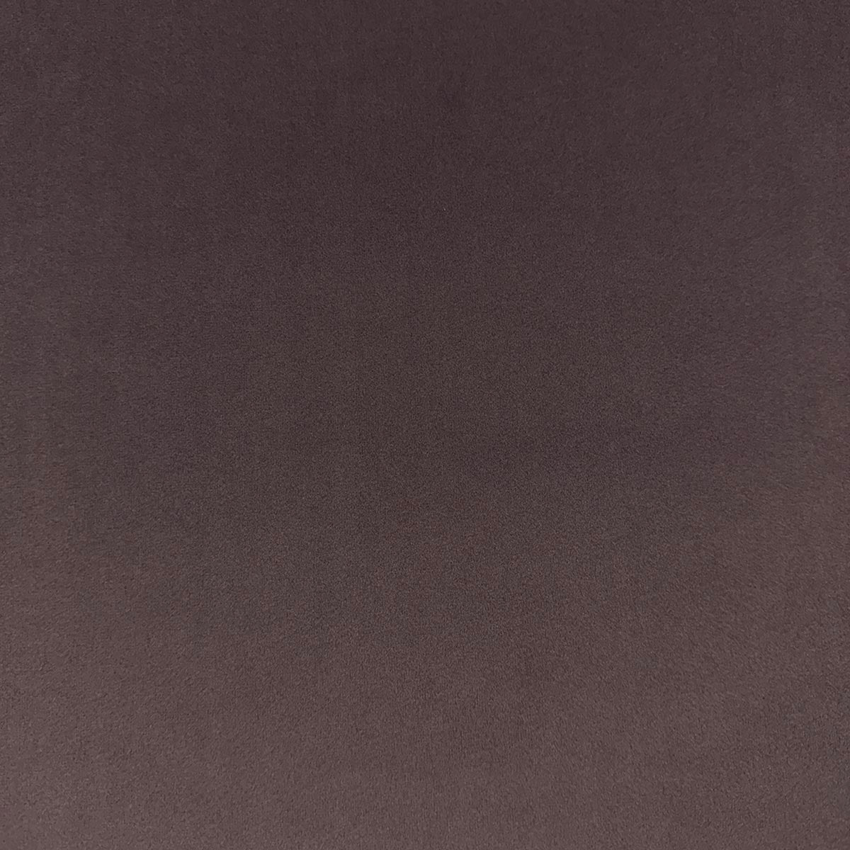 Eade’s VASTO ORCHID ORCHID