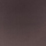 Eade’s VASTO ORCHID ORCHID