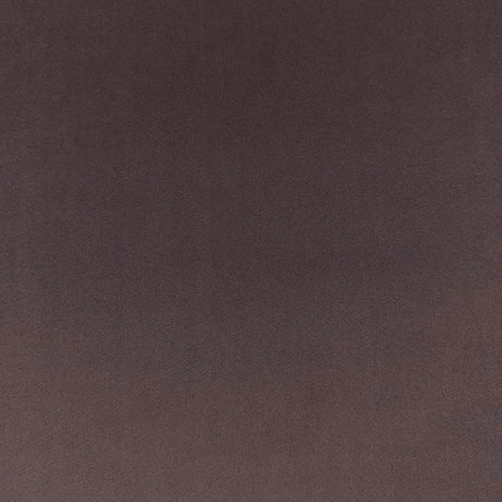 Eade’s VASTO ORCHID ORCHID