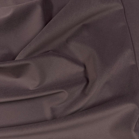 Eade’s VASTO ORCHID ORCHID