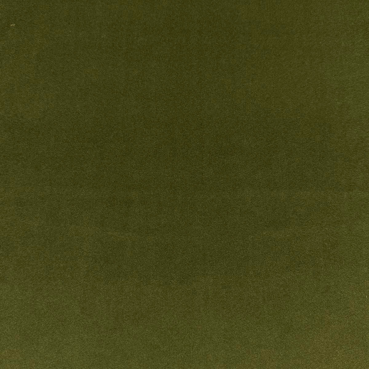 Eade’s VASTO PINE PINE