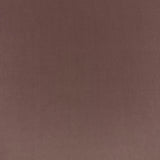 Eade’s VASTO PRIMROSE PRIMROSE