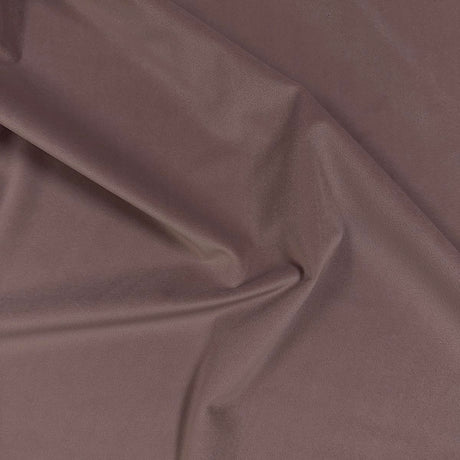 Eade’s VASTO PRIMROSE PRIMROSE