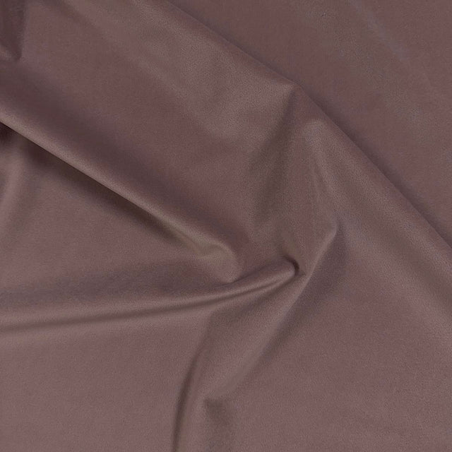 Eade’s VASTO PRIMROSE PRIMROSE