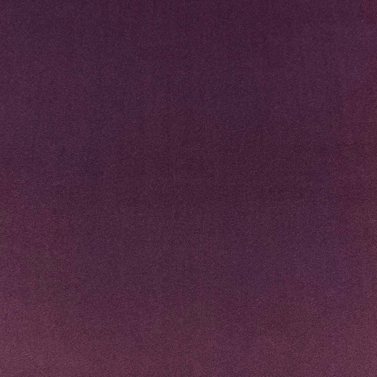 Eade’s VASTO VIOLET VIOLET
