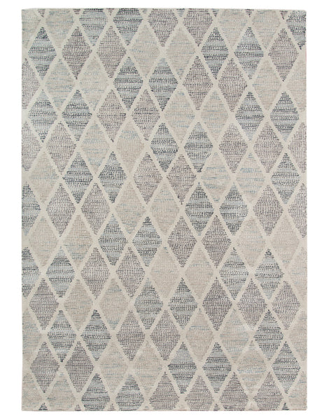 Amer Rugs VEC290913 Vector Gray Area Rug