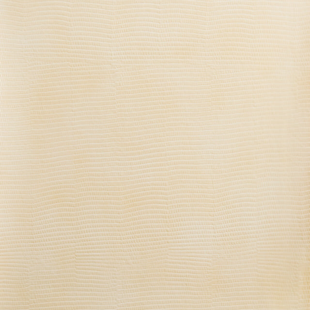 KRAVET DESIGN VELA.16.0 KRAVET DESIGN VELA-16 Fabric - Eade's Wallpaper