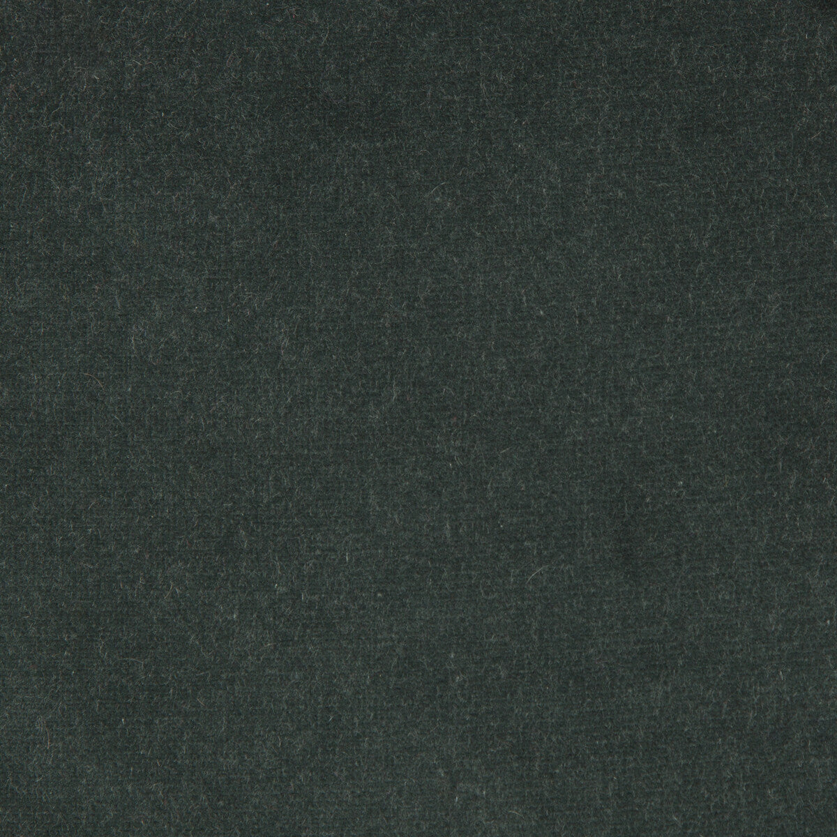 KRAVET DESIGN VERSAILLES.E20713.0 KRAVET DESIGN VERSAILLES-E207130 Fabric - Eade's Wallpaper