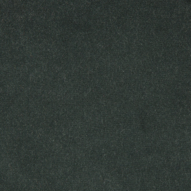 KRAVET DESIGN VERSAILLES.E20713.0 KRAVET DESIGN VERSAILLES-E207130 Fabric - Eade's Wallpaper