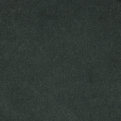 KRAVET DESIGN VERSAILLES.E20713.0 KRAVET DESIGN VERSAILLES-E207130 Fabric - Eade's Wallpaper