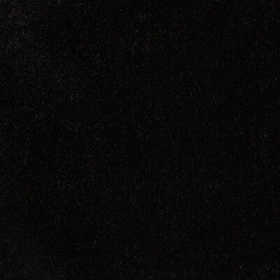 KRAVET DESIGN VERSAILLES.E20802.0 KRAVET DESIGN VERSAILLES-E208020 Fabric - Eade's Wallpaper