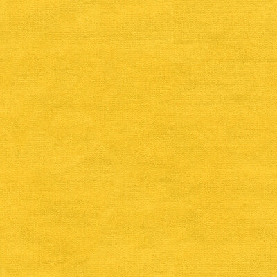 KRAVET DESIGN VERSAILLES.E21434.0 KRAVET DESIGN VERSAILLES-E214340 Fabric - Eade's Wallpaper