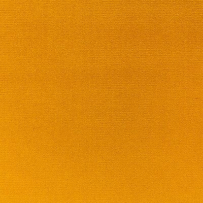 KRAVET DESIGN VERSAILLES.E21623.0 KRAVET DESIGN VERSAILLES-E216230 Fabric - Eade's Wallpaper