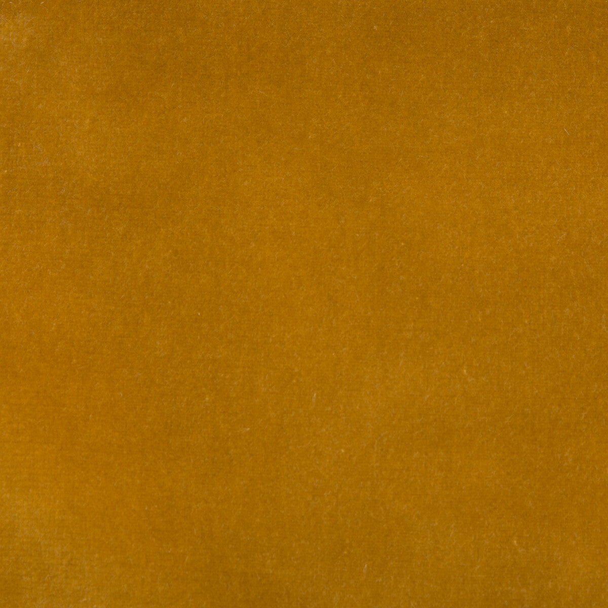 KRAVET DESIGN VERSAILLES.E21901.0 KRAVET DESIGN VERSAILLES-E219010 Fabric - Eade's Wallpaper