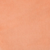 KRAVET DESIGN VERSAILLES.E22058.0 KRAVET DESIGN VERSAILLES-E220580 Fabric - Eade's Wallpaper