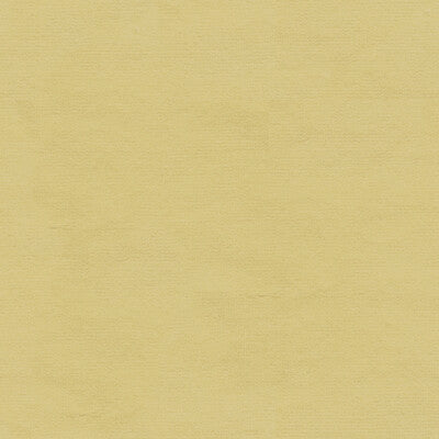 KRAVET DESIGN VERSAILLES.E24302.0 KRAVET DESIGN VERSAILLES-E243020 Fabric - Eade's Wallpaper