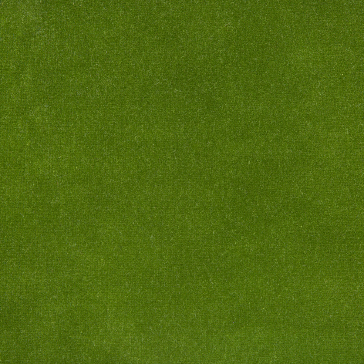 KRAVET DESIGN VERSAILLES.E26304.0 KRAVET DESIGN VERSAILLES-E263040 Fabric - Eade's Wallpaper