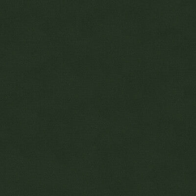 KRAVET DESIGN VERSAILLES.E26381.0 KRAVET DESIGN VERSAILLES-E263810 Fabric - Eade's Wallpaper