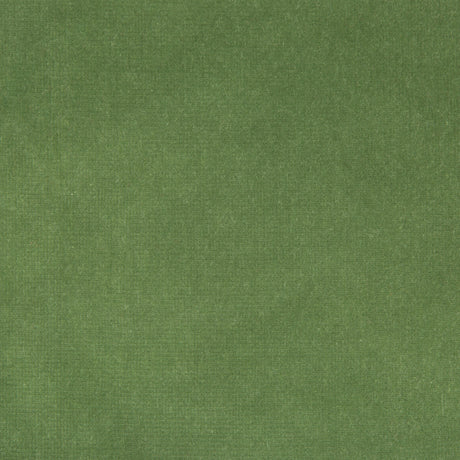 KRAVET DESIGN VERSAILLES.E26425.0 KRAVET DESIGN VERSAILLES-E264250 Fabric - Eade's Wallpaper