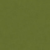 KRAVET DESIGN VERSAILLES.E26500.0 KRAVET DESIGN VERSAILLES-E265000 Fabric - Eade's Wallpaper