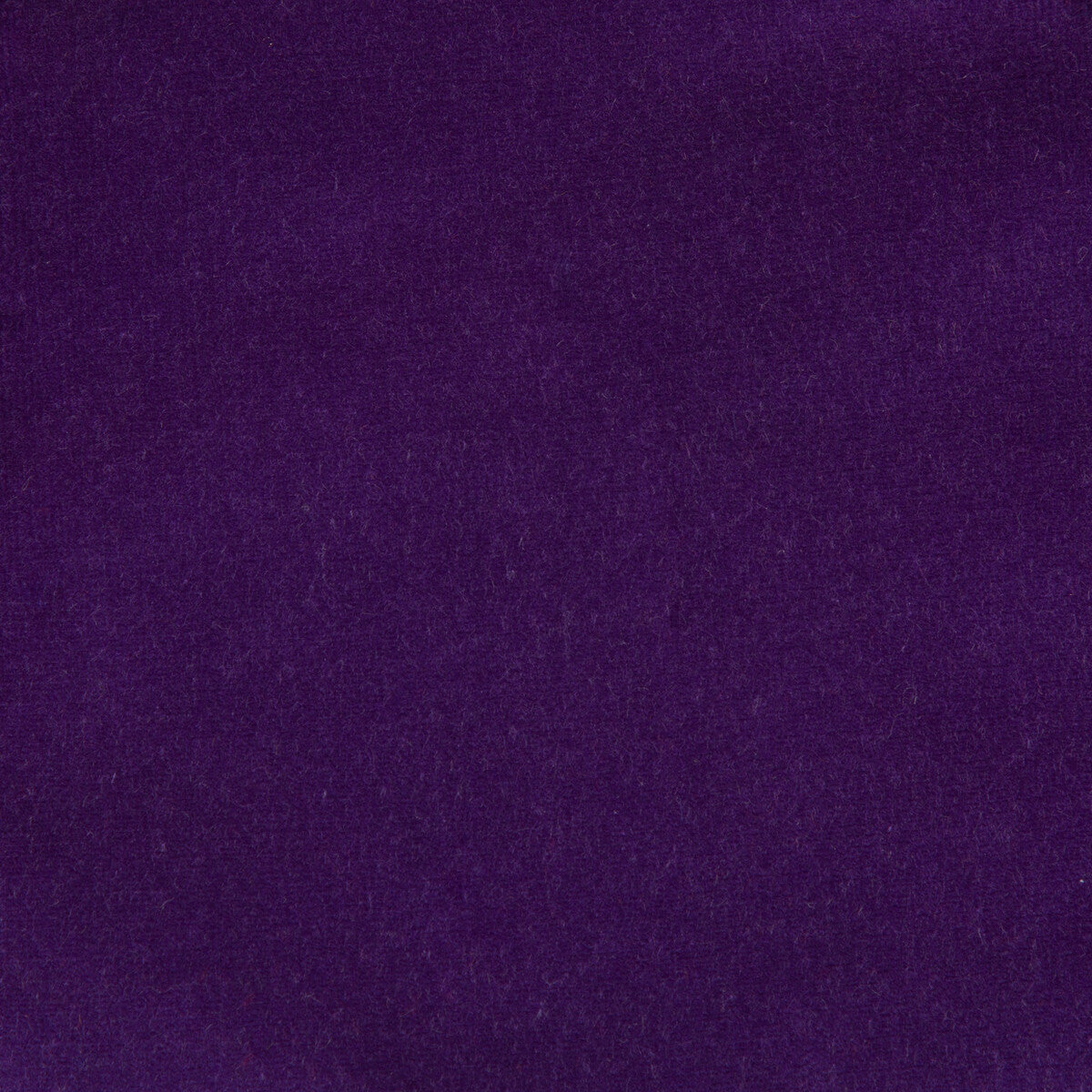 KRAVET DESIGN VERSAILLES.E29801.0 KRAVET DESIGN VERSAILLES-E298010 Fabric - Eade's Wallpaper