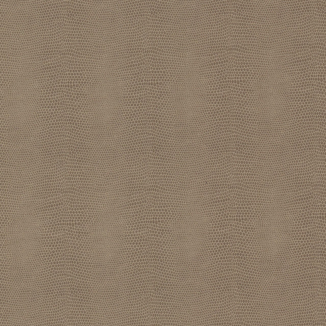 STOUT VESS-2 VESSEL 2 CEDAR Fabric - Eades Wallpaper & Fabric