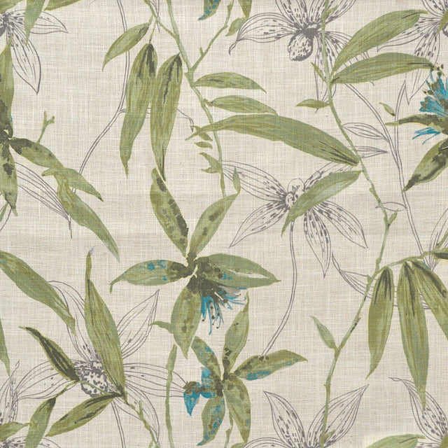 Eade’s VIOLATTE TROPIC TROPIC