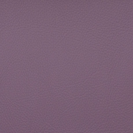 Eade’s VOYAGER ALLIUM ALLIUM