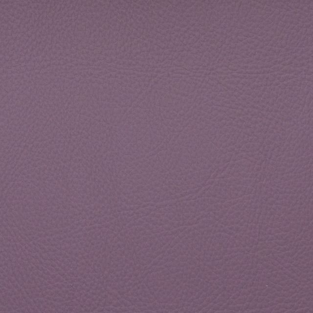 Eade’s VOYAGER ALLIUM ALLIUM