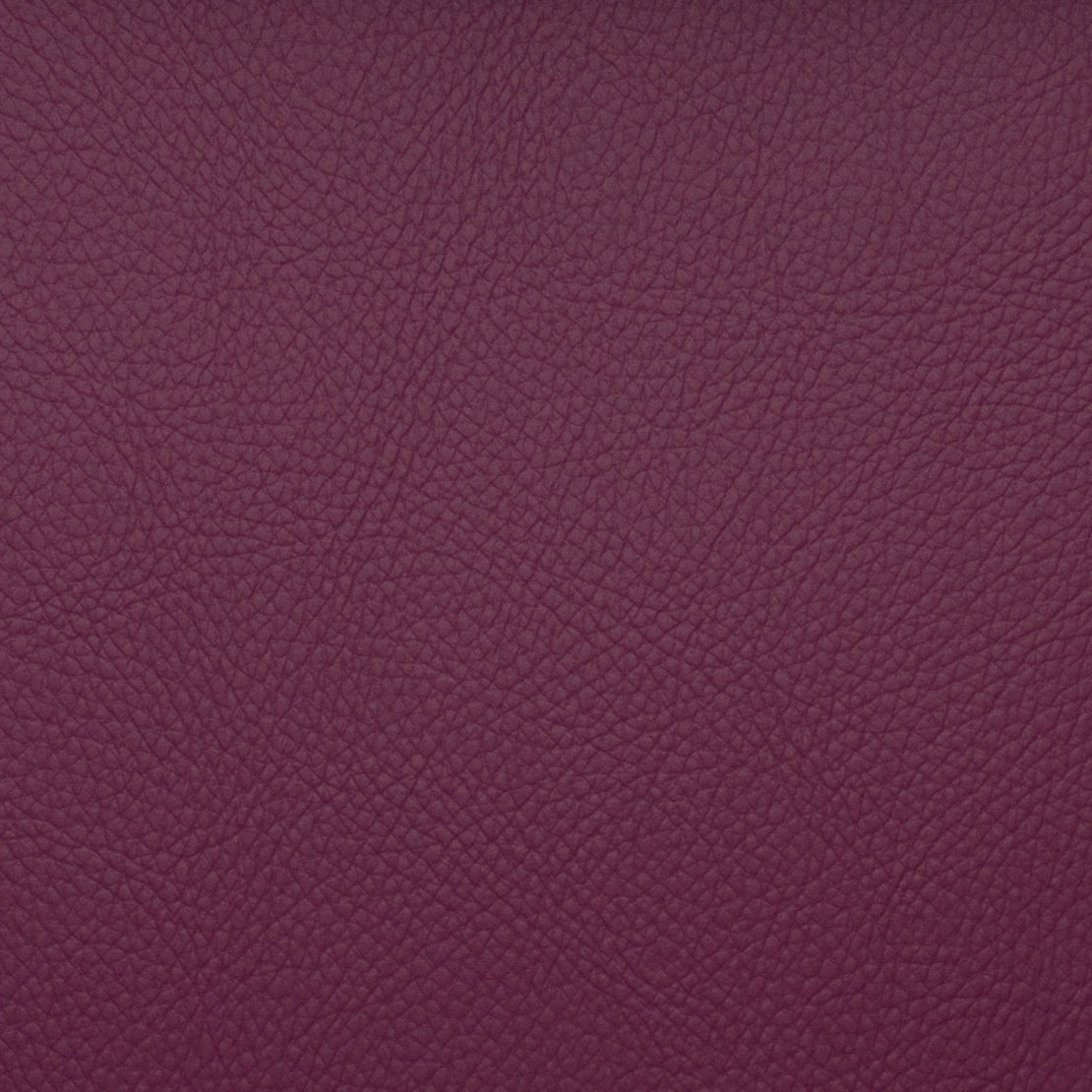 Eade’s VOYAGER BEET BEET