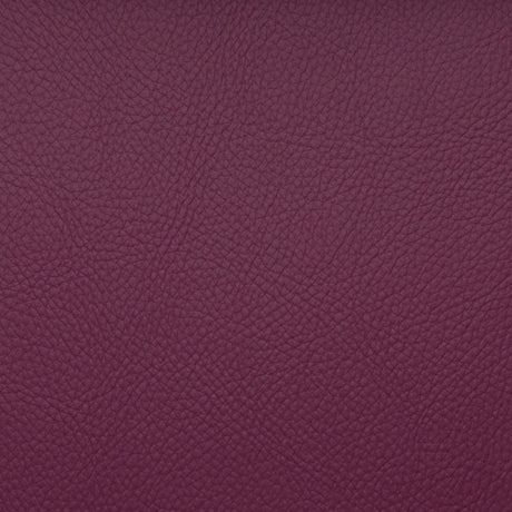 Eade’s VOYAGER BEET BEET