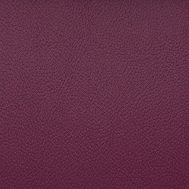 Eade’s VOYAGER BEET BEET