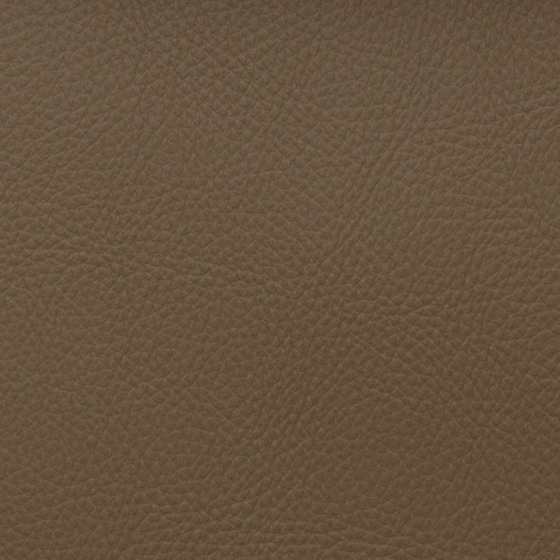 Eade’s VOYAGER BISON BISON