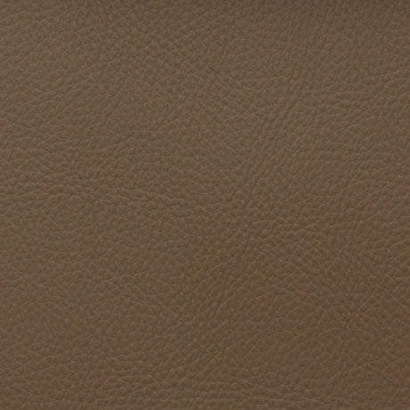 Eade’s VOYAGER BISON BISON