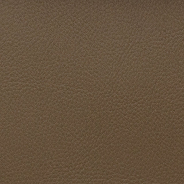 Eade’s VOYAGER BISON BISON