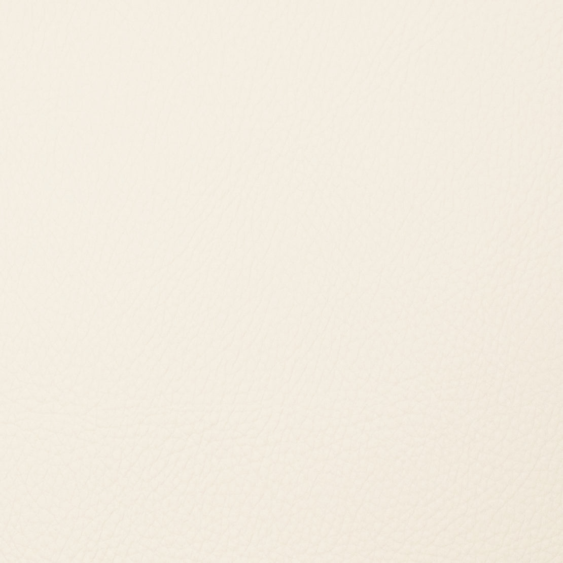 Eade’s VOYAGER BONE BONE