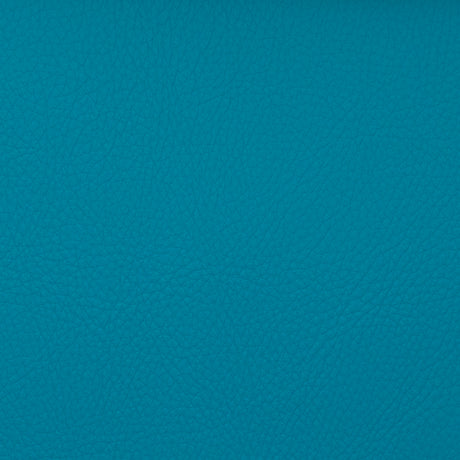 Eade’s VOYAGER CALYPSO CALYPSO